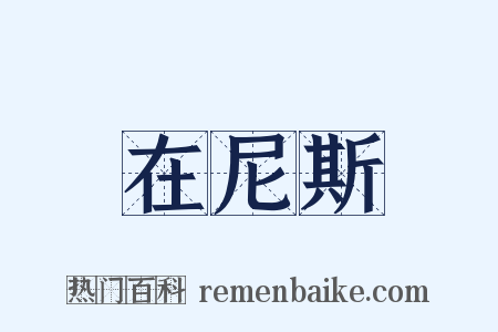 在尼斯是什么意思的图片